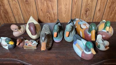Duck Collection Various Styles 