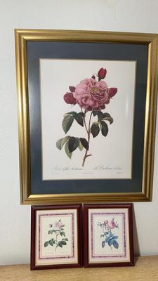 Pierre Joseph Redout Floral Art Prints