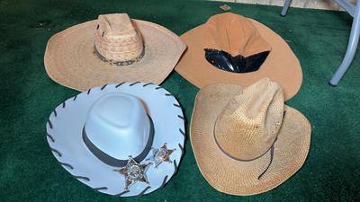 Novelty & Vintage Western Hats