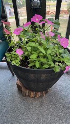 Faux Barrel Planter With Flowers #2