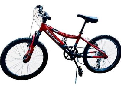Raleigh Rowdy Children's Bike