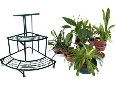 Tiered Metal Plant Stand With Assortment Of Houseplants