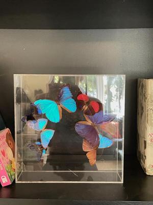 Sale Photo Thumbnail #263