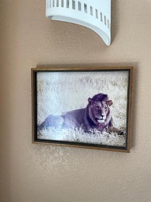 Sale Photo Thumbnail #527