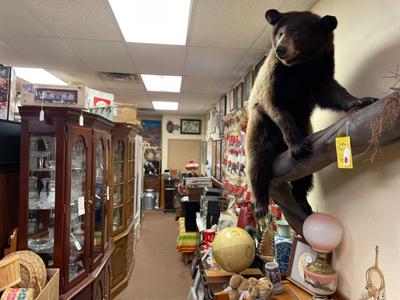 Sale Photo Thumbnail #13