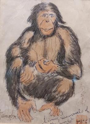CHIMPANZEE PAINTING BY CHUZO TAMOTSU