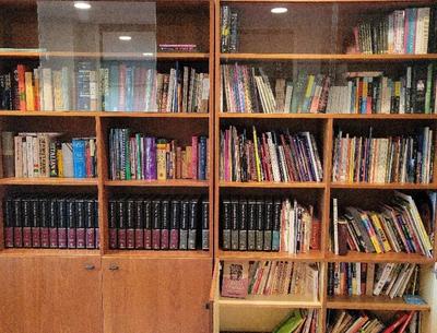 GIGANTIC LOT OF BOOKS (CABINET NOT INCLUDED)
