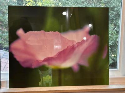 Sale Photo Thumbnail #329