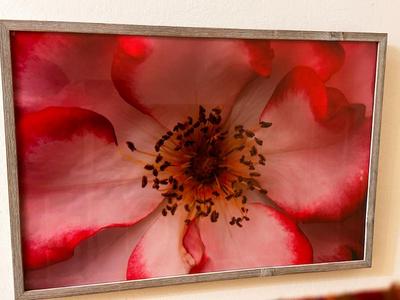 Sale Photo Thumbnail #282