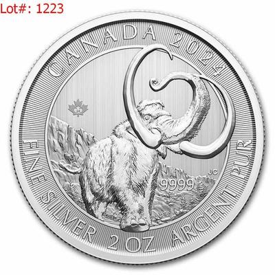 Sale Photo Thumbnail #1223