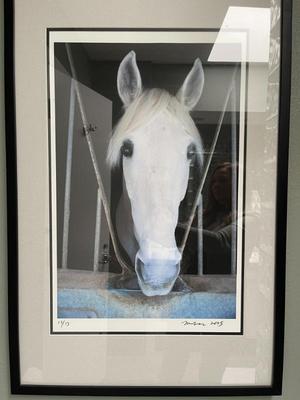 Sale Photo Thumbnail #96