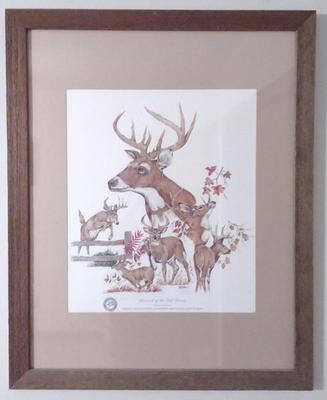 Sale Photo Thumbnail #339: Bill Bolin Pencil Signed / Numbered Deer Print