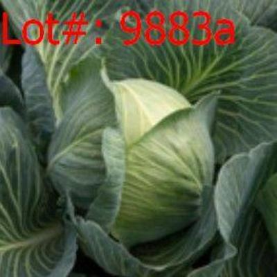 Sale Photo Thumbnail #361