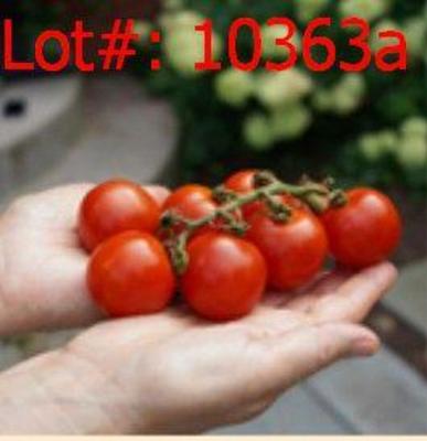 Sale Photo Thumbnail #407