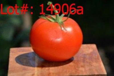 Sale Photo Thumbnail #932