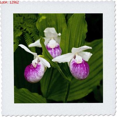 Sale Photo Thumbnail #607