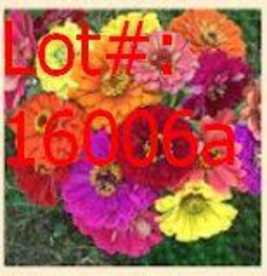 Sale Photo Thumbnail #1619
