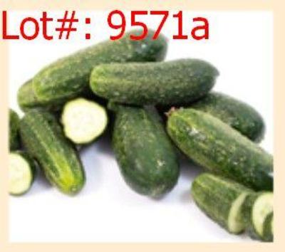 Sale Photo Thumbnail #319