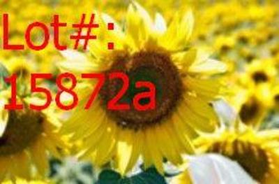 Sale Photo Thumbnail #1448