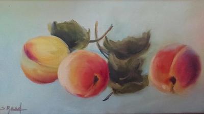 PEACHES ORIGINAL OIL PAINTING BY S. REED