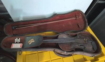 Student Violin