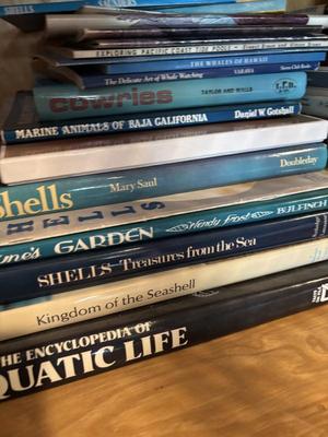 Sale Photo Thumbnail #149