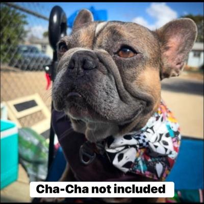 Sale Photo Thumbnail #163