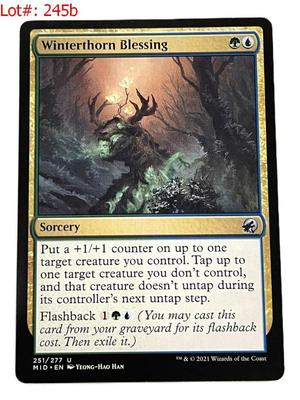 Sale Photo Thumbnail #429