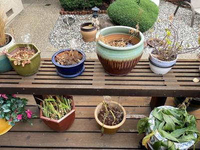 Sale Photo Thumbnail #677