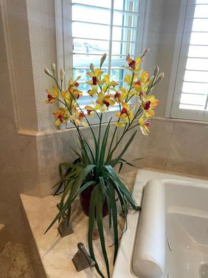 Sale Photo Thumbnail #642