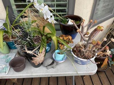 Sale Photo Thumbnail #679
