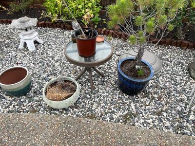 Sale Photo Thumbnail #683