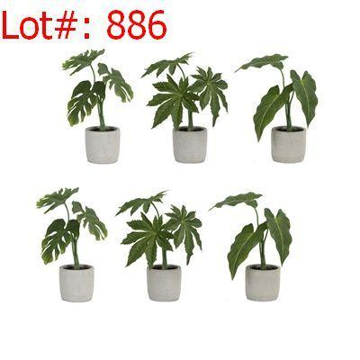Sale Photo Thumbnail #887