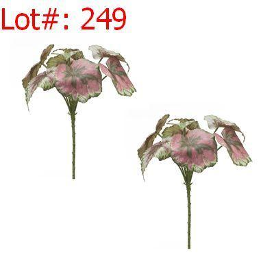Sale Photo Thumbnail #250
