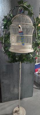 Sale Photo Thumbnail #9: Bird cage