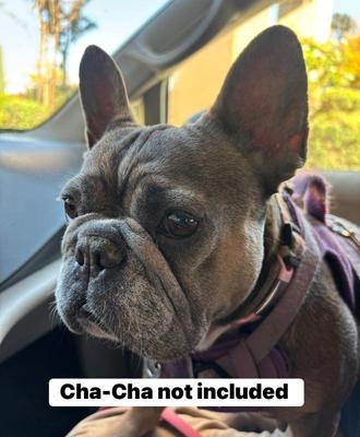 Sale Photo Thumbnail #91
