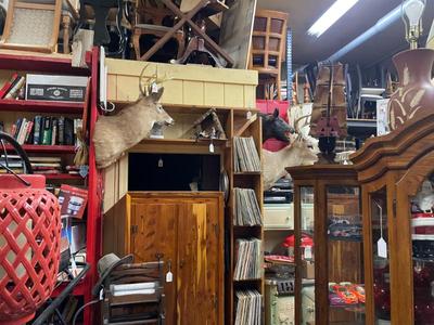 Sale Photo Thumbnail #36