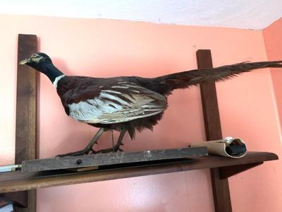 Sale Photo Thumbnail #123