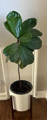 Sale Photo Thumbnail #33