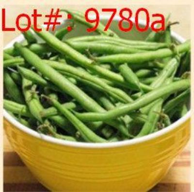 Sale Photo Thumbnail #518