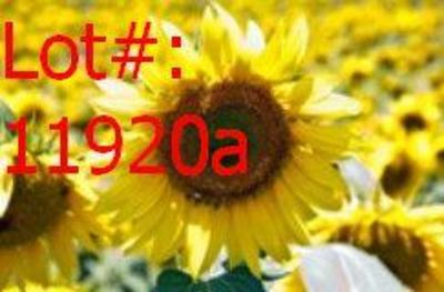 Sale Photo Thumbnail #713