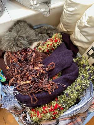 Sale Photo Thumbnail #376