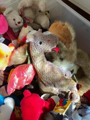 Sale Photo Thumbnail #275