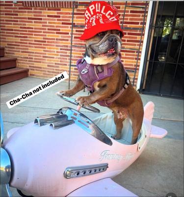 Sale Photo Thumbnail #95