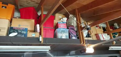 HUGE MYSTERY LOT OF CHRISTMAS & FALL DECORATIONS