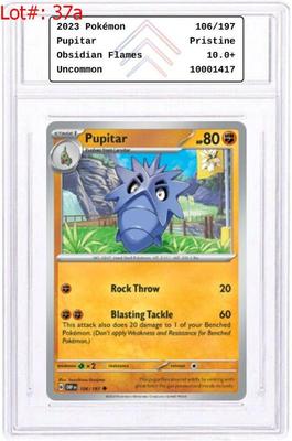 Sale Photo Thumbnail #74