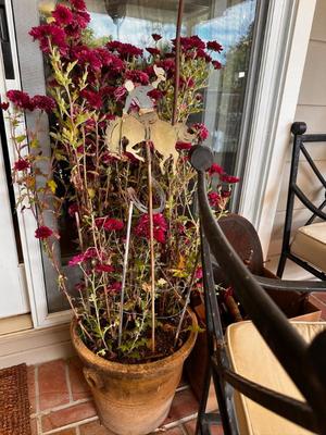 Sale Photo Thumbnail #680