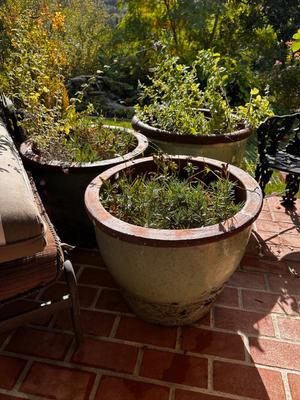 Sale Photo Thumbnail #664