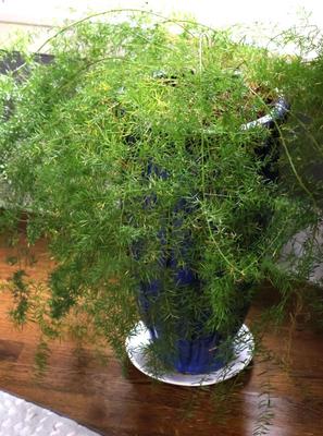 Sale Photo Thumbnail #38