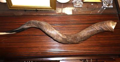 Sale Photo Thumbnail #10